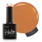 Halo Safari Adventure Collection | Explore